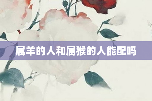 属羊的人和属猴的人能配吗
