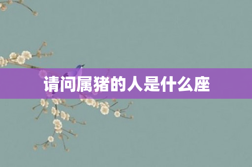 请问属猪的人是什么座