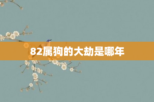 82属狗的大劫是哪年