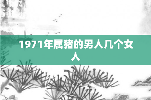 1971年属猪的男人几个女人