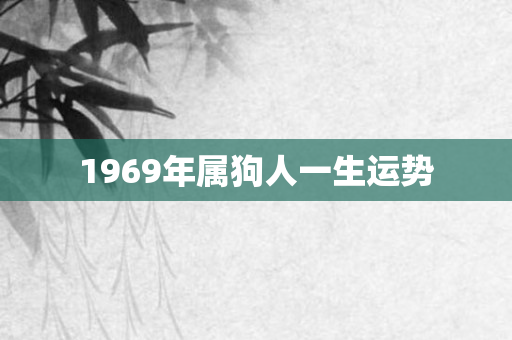 1969年属狗人一生运势