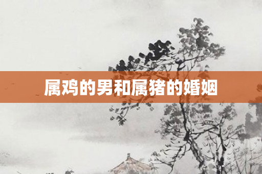 属鸡的男和属猪的婚姻