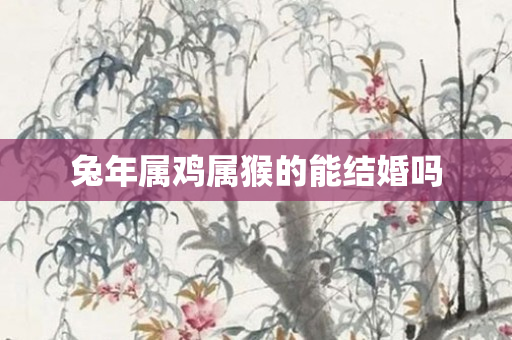 兔年属鸡属猴的能结婚吗