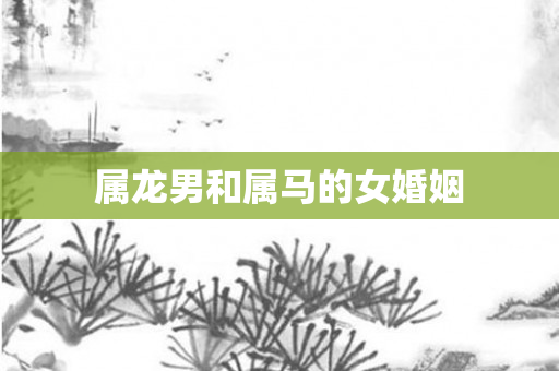 属龙男和属马的女婚姻