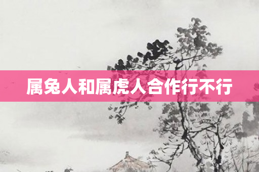 属兔人和属虎人合作行不行