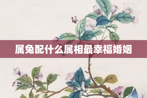 属兔配什么属相最幸福婚姻