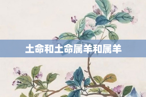土命和土命属羊和属羊