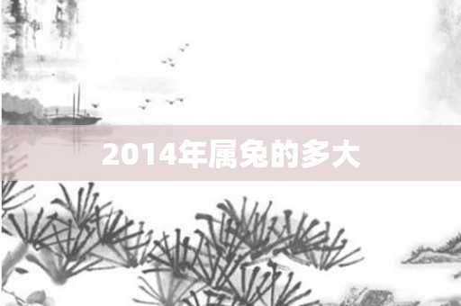 2014年属兔的多大