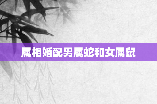 属相婚配男属蛇和女属鼠