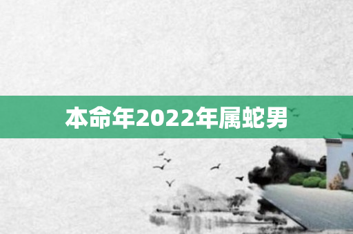 本命年2022年属蛇男