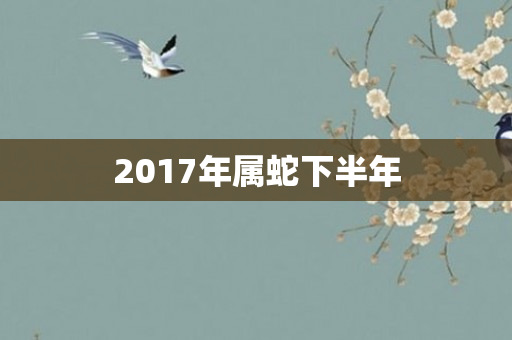 2017年属蛇下半年