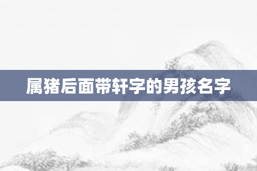 属猪后面带轩字的男孩名字