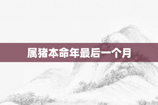 属猪本命年最后一个月