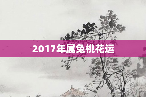2017年属兔桃花运