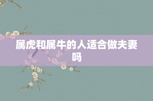 属虎和属牛的人适合做夫妻吗