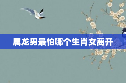 属龙男最怕哪个生肖女离开