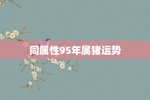 同属性95年属猪运势