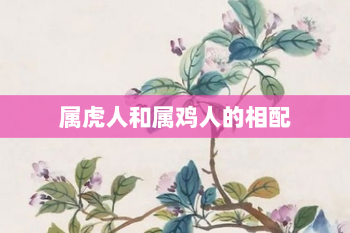 属虎人和属鸡人的相配