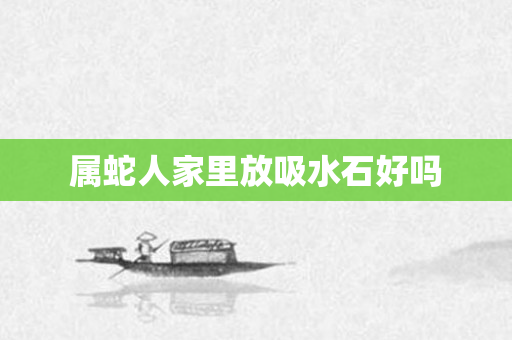 属蛇人家里放吸水石好吗