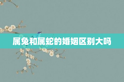 属兔和属蛇的婚姻区别大吗