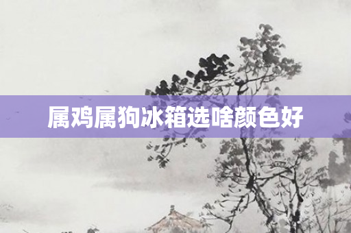 属鸡属狗冰箱选啥颜色好