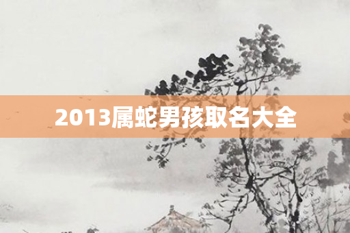2013属蛇男孩取名大全