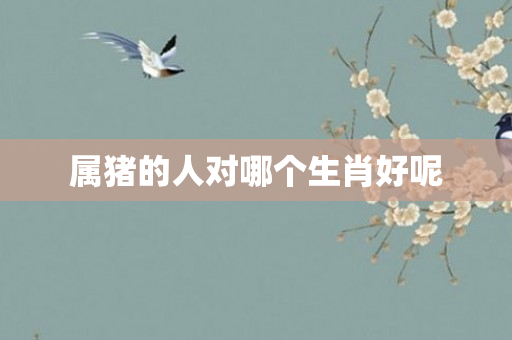 属猪的人对哪个生肖好呢
