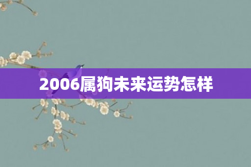 2006属狗未来运势怎样