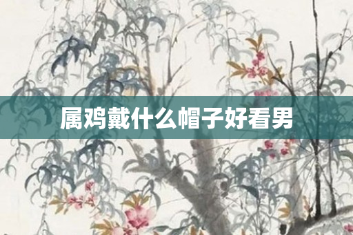 属鸡戴什么帽子好看男