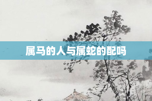 属马的人与属蛇的配吗
