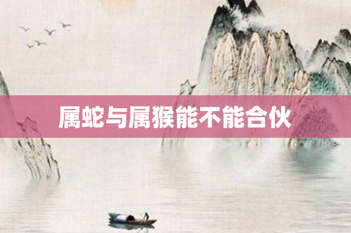 属蛇与属猴能不能合伙