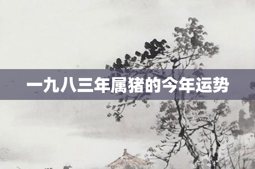 一九八三年属猪的今年运势
