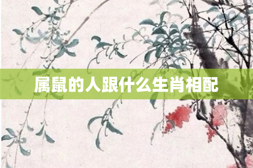 属鼠的人跟什么生肖相配