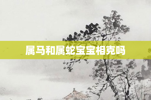 属马和属蛇宝宝相克吗