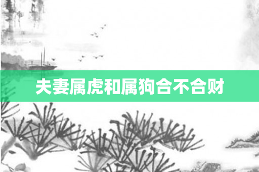 夫妻属虎和属狗合不合财