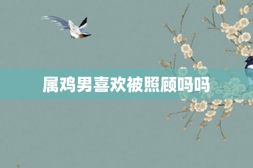 属鸡男喜欢被照顾吗吗