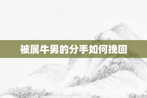 被属牛男的分手如何挽回