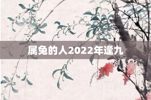 属兔的人2022年逢九