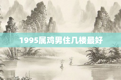 1995属鸡男住几楼更好