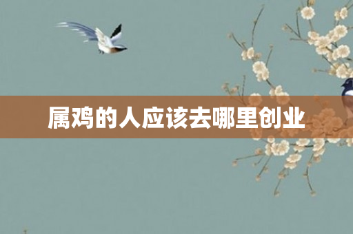 属鸡的人应该去哪里创业