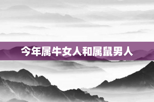 今年属牛女人和属鼠男人