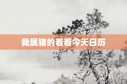 我属猪的看看今天日历