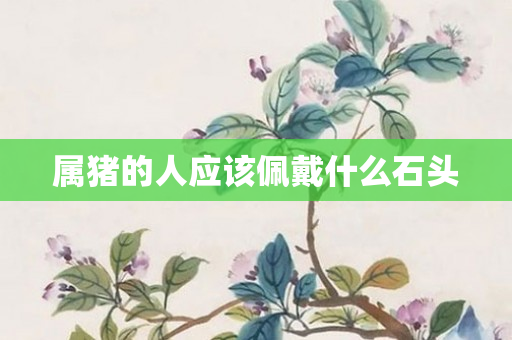 属猪的人应该佩戴什么石头