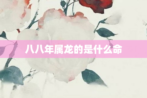 八八年属龙的是什么命