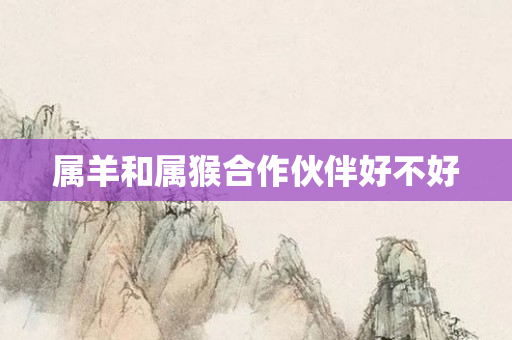 属羊和属猴合作伙伴好不好