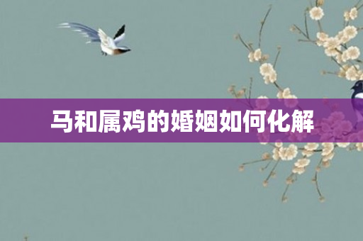 马和属鸡的婚姻如何化解