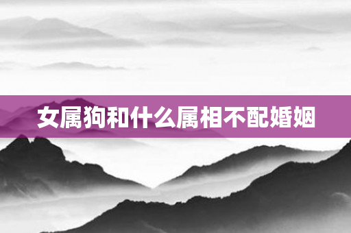 女属狗和什么属相不配婚姻