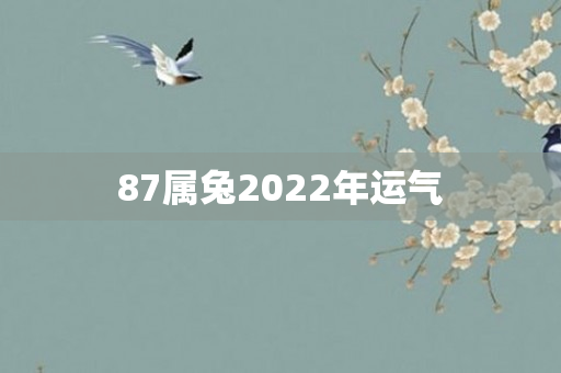 87属兔2022年运气