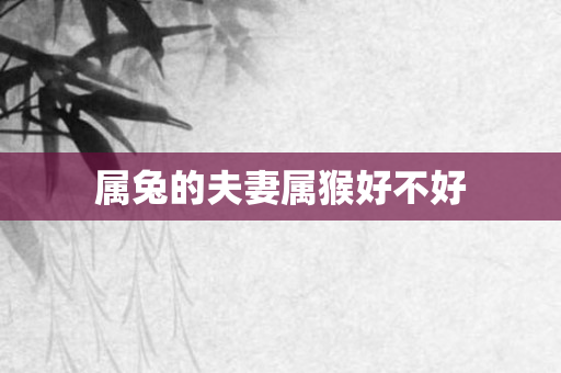 属兔的夫妻属猴好不好
