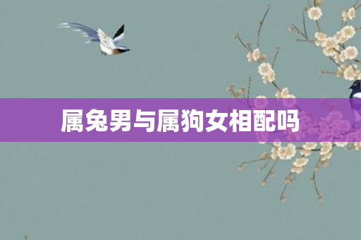 属兔男与属狗女相配吗